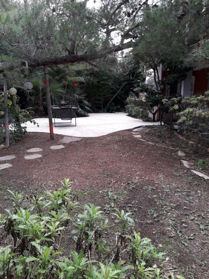 Jardin Et Bambous, Studio Cosy, Classe 2 Etoiles Marseillan  Dış mekan fotoğraf