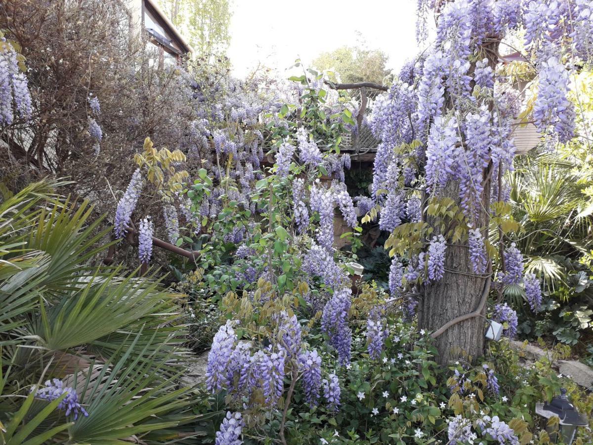 Jardin Et Bambous, Studio Cosy, Classe 2 Etoiles Marseillan  Dış mekan fotoğraf