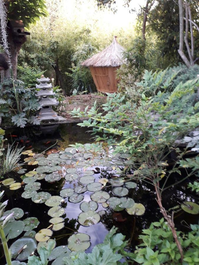 Jardin Et Bambous, Studio Cosy, Classe 2 Etoiles Marseillan  Dış mekan fotoğraf